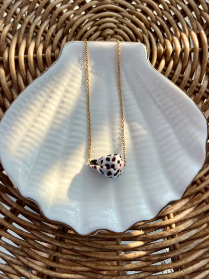 Hebrew Cone Shell Necklace