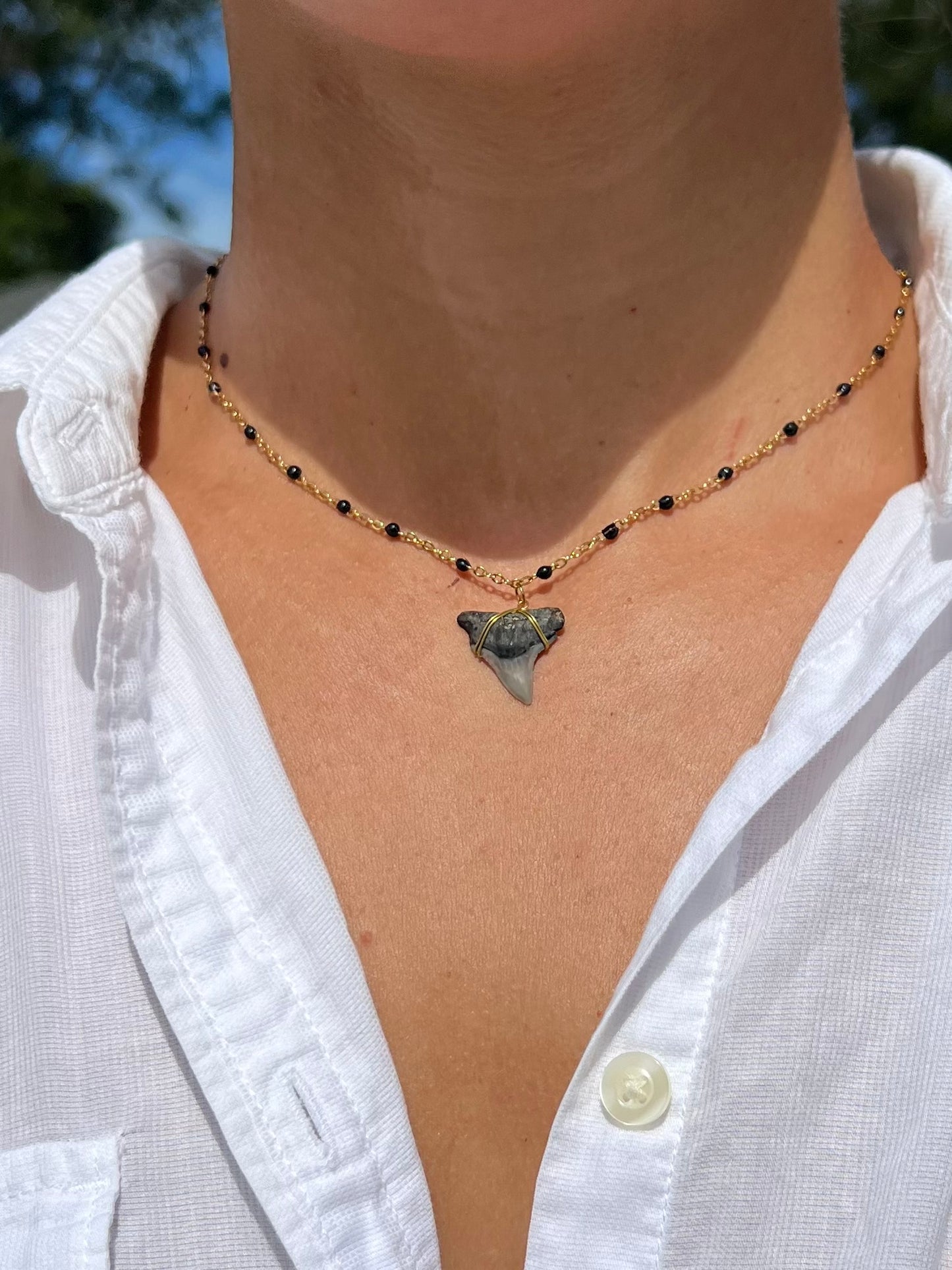 Gold Shark Tooth Necklace - Black