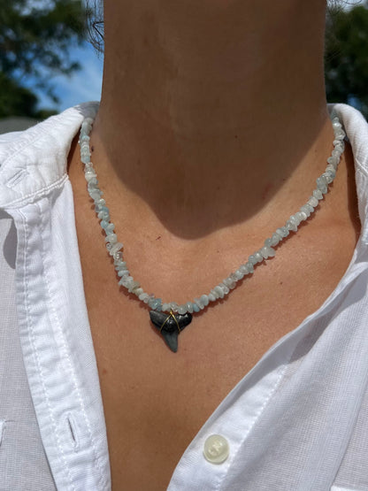 Aquamarine Shark Tooth Necklace